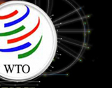 Членство России в ВТО – что это даст малому бизнесу?